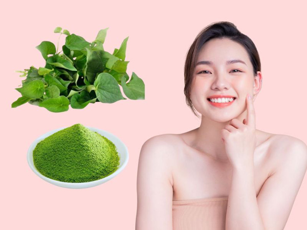 Cách trị tàn nhang bằng rau diếp cá