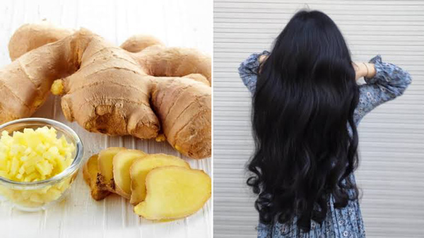 Cách trị rụng tóc bằng gừng