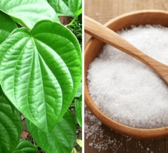 Phương pháp trị nám da bằng lá trầu không