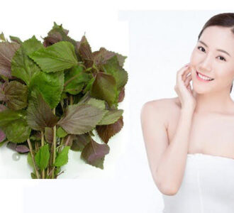 Mẹo trị tàn nhang bằng lá tía tô