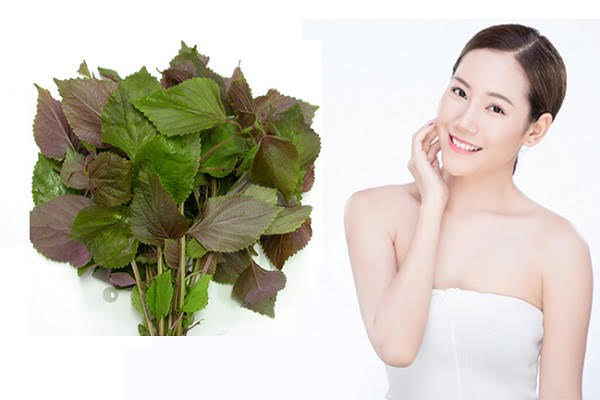 Cách trị tàn nhang bằng tía tô