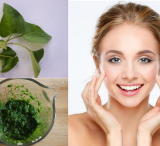 Trị tàn nhang bằng rau diếp cá