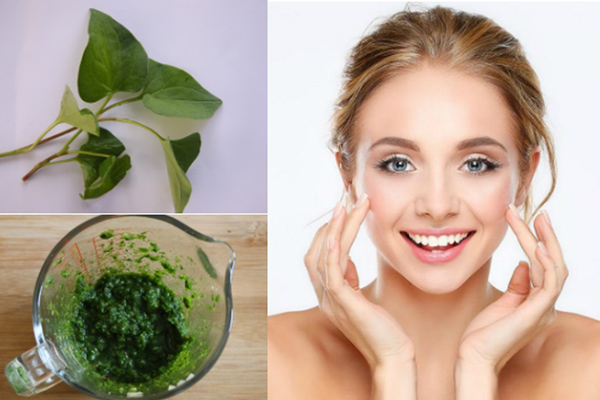 Cách trị tàn nhang bằng rau diếp cá
