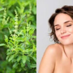Mẹo trị rụng tóc bằng hương nhu