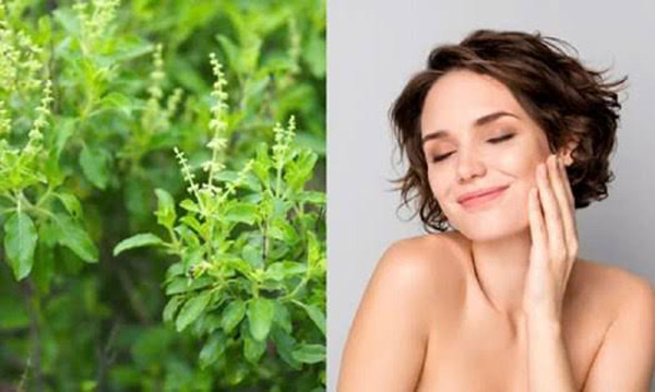 Mẹo trị rụng tóc bằng hương nhu